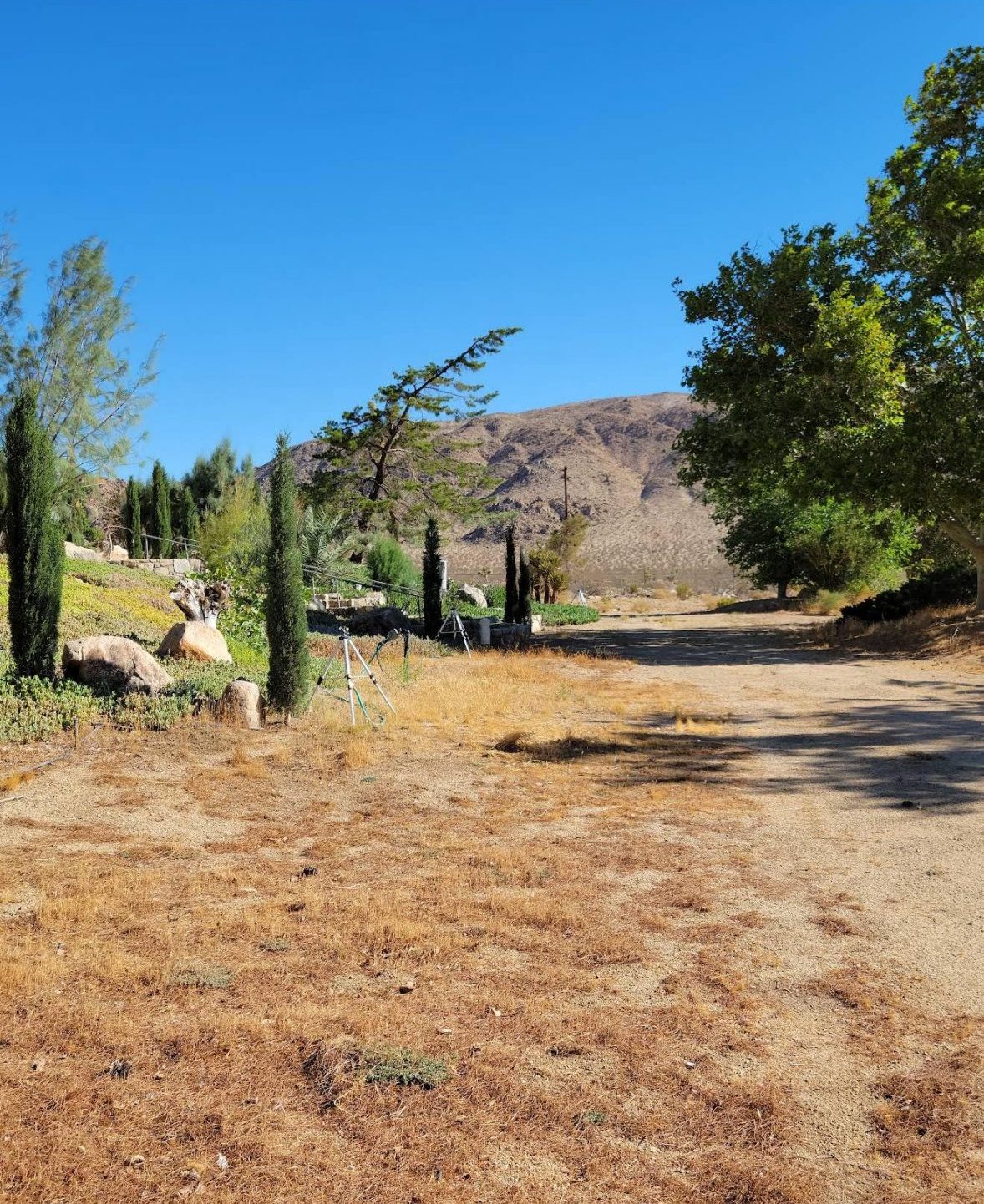 Jardín y naturaleza